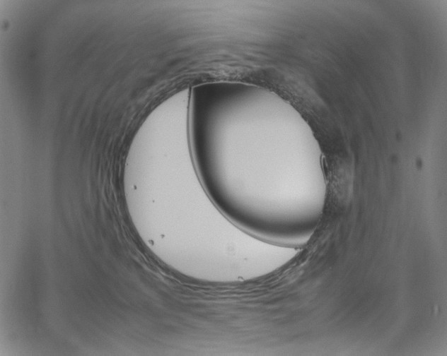 X0000067480233200604070935