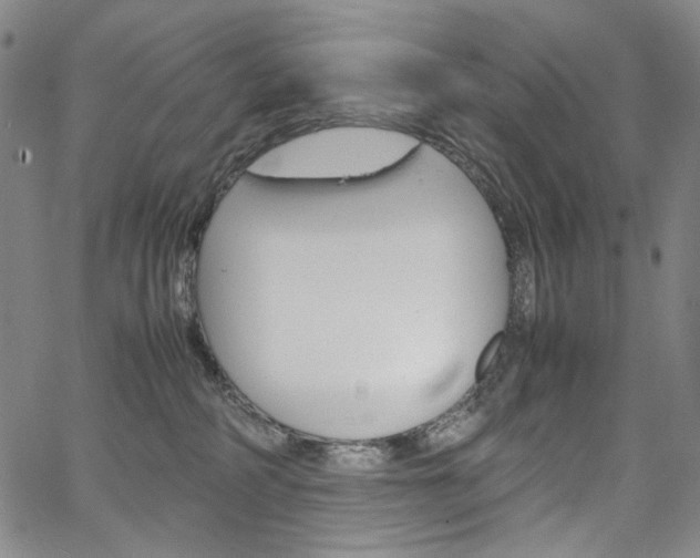 X0000067480234200604070935