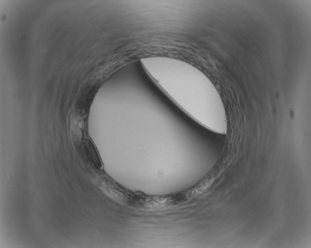 X0000067480235200604070935