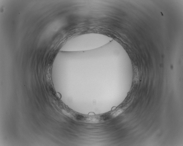 X0000067480236200604070935