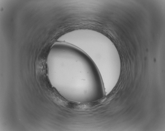 X0000067480237200604070935