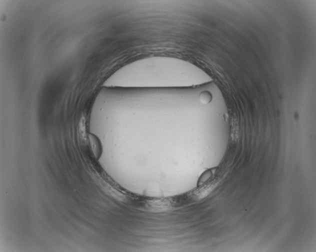 X0000067480238200604070935