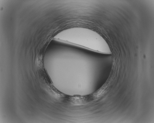 X0000067480239200604070935