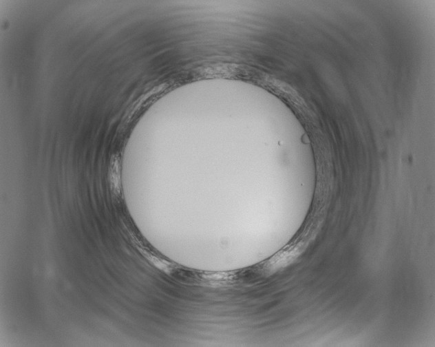 X0000067480240200604070935