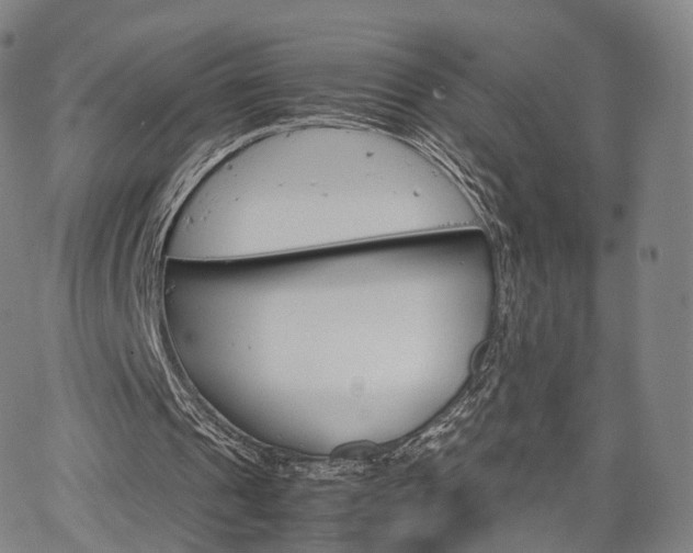 X0000067480241200604070934