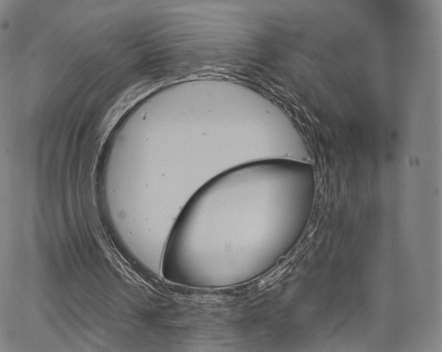 X0000067480242200604070935