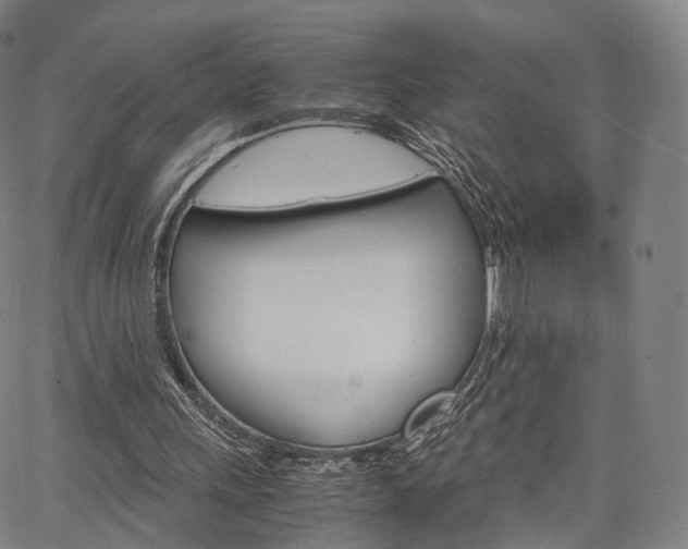 X0000067480243200604070935