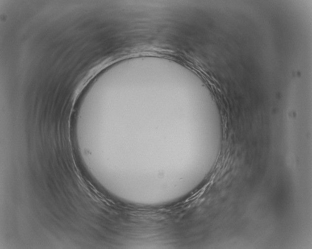 X0000067480244200604070935