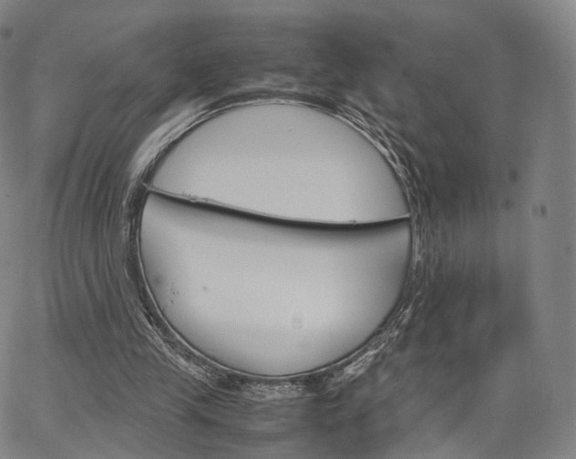 X0000067480245200604070935