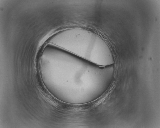 X0000067480246200604070935