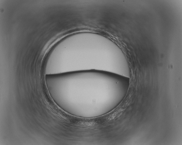 X0000067480247200604070935