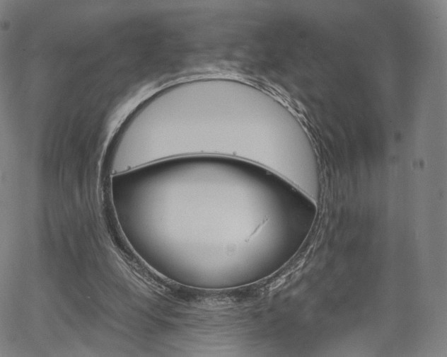 X0000067480248200604070935