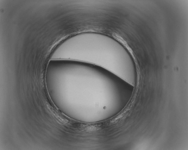 X0000067480249200604070935