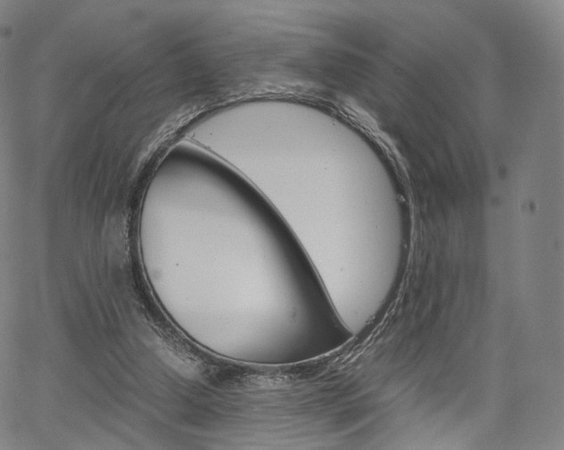 X0000067480250200604070935