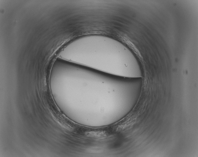 X0000067480251200604070935