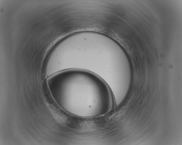 X0000067480252200604070935