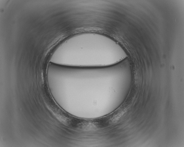 X0000067480254200604070935