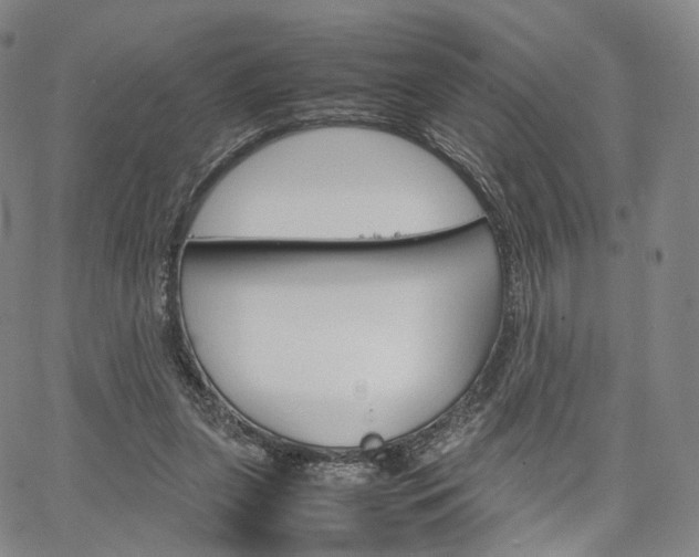 X0000067480255200604070935