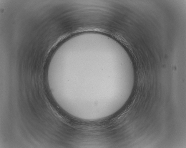 X0000067480256200604070935