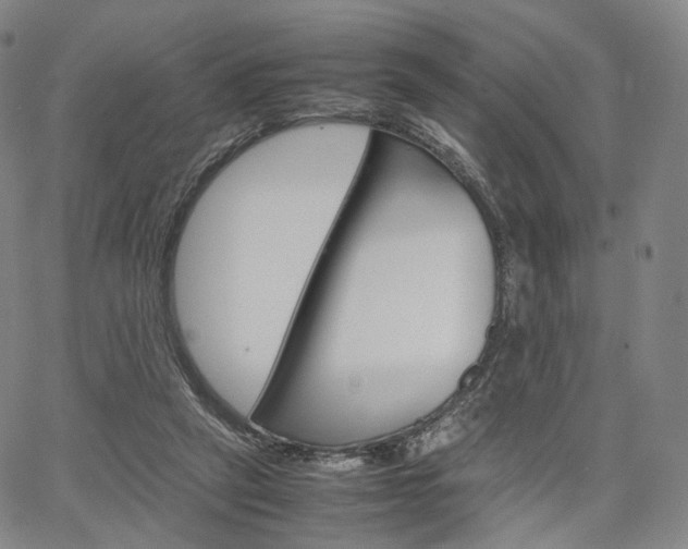 X0000067480257200604070935