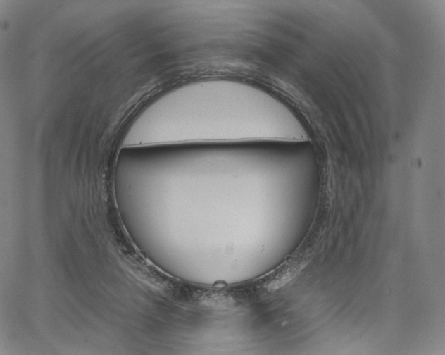 X0000067480258200604070935