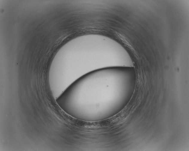 X0000067480259200604070935