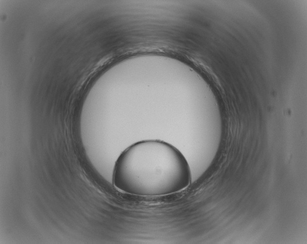 X0000067480260200604070935