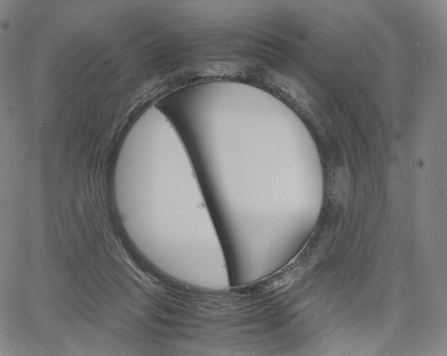 X0000067480261200604070935