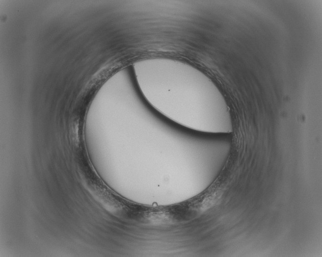 X0000067480262200604070935