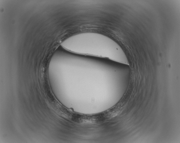 X0000067480263200604070935