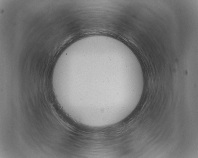 X0000067480264200604070935