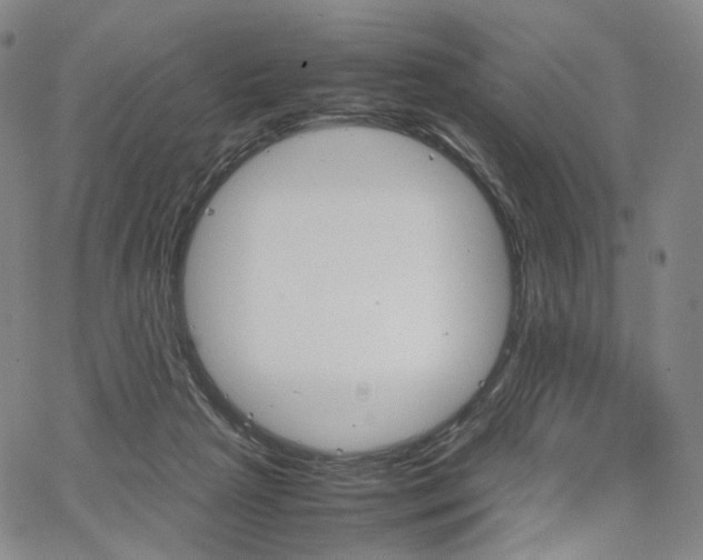 X0000067480265200604070935