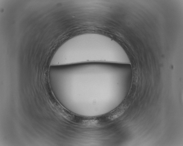 X0000067480266200604070935