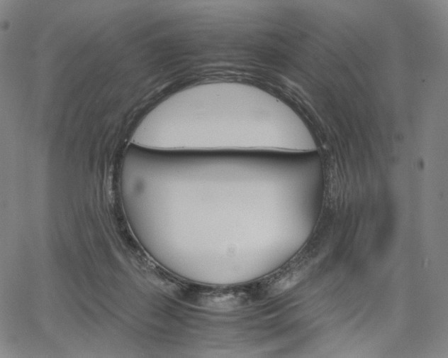 X0000067480267200604070935