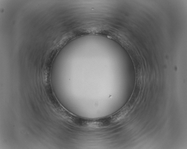 X0000067480268200604070935