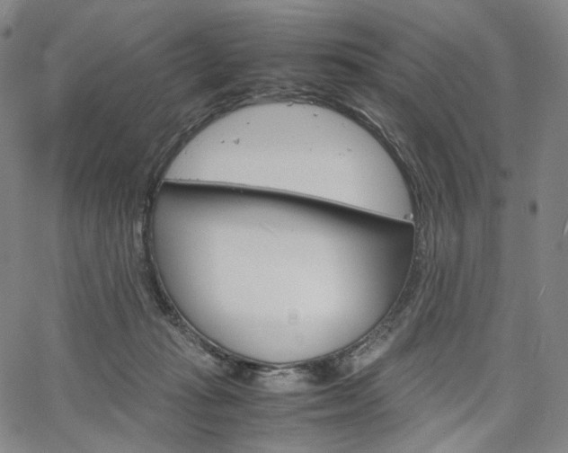 X0000067480269200604070935