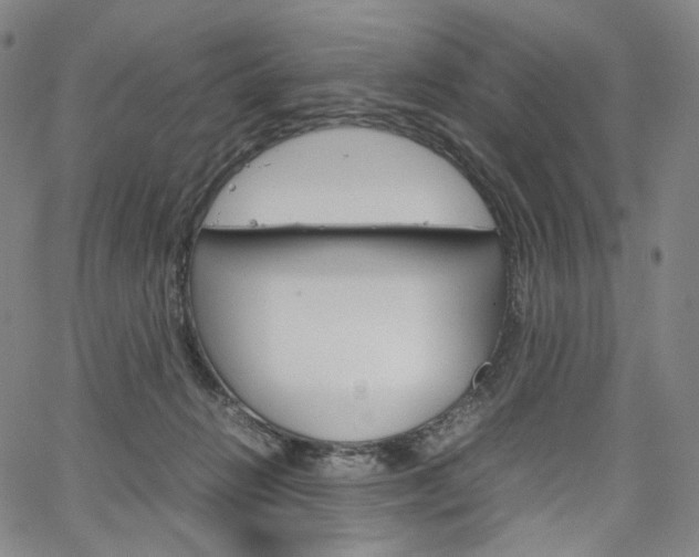 X0000067480270200604070935