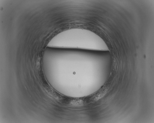 X0000067480271200604070935