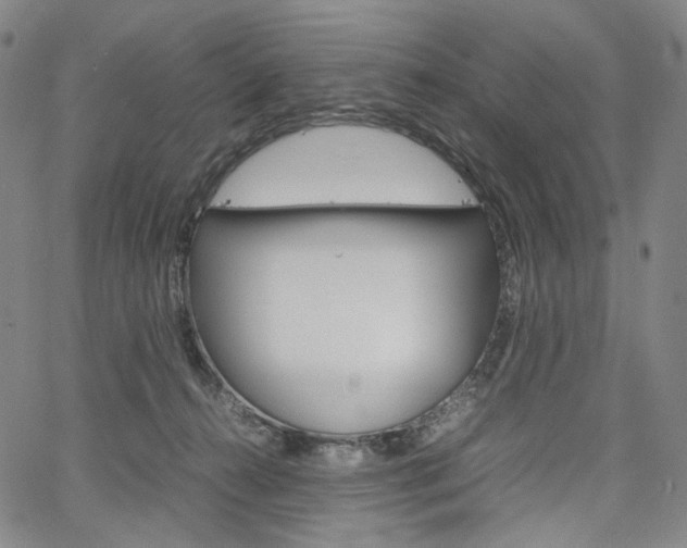 X0000067480272200604070935