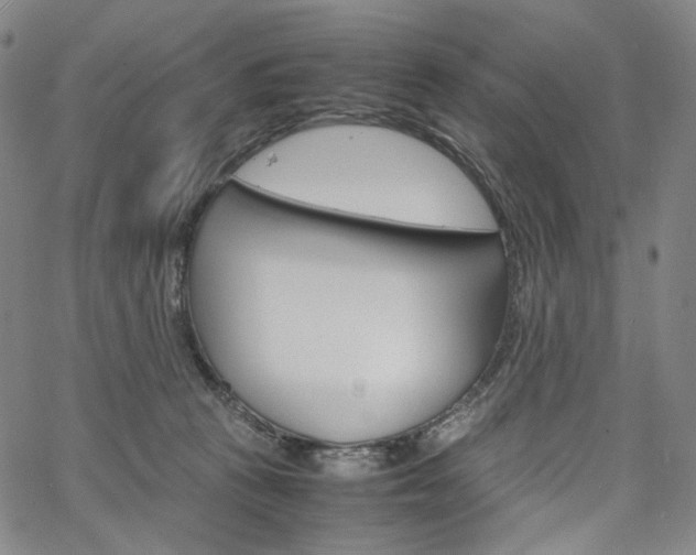 X0000067480273200604070935