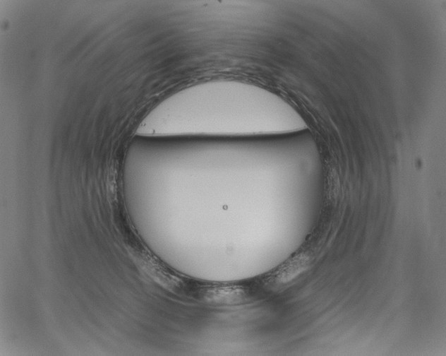 X0000067480274200604070935