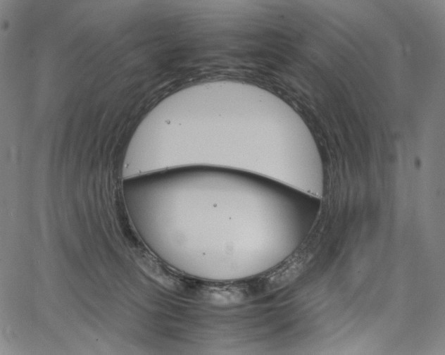 X0000067480275200604070935