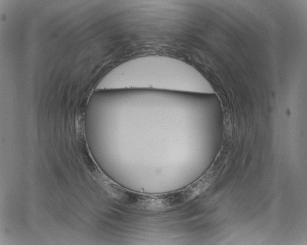 X0000067480276200604070935