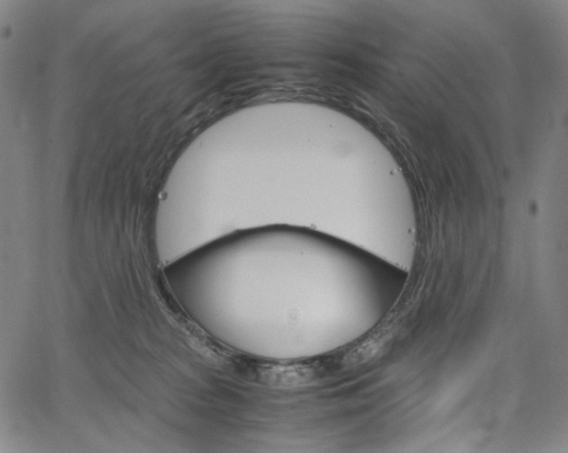 X0000067480277200604070935