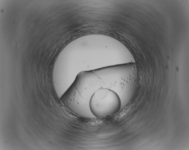 X0000067480278200604070935