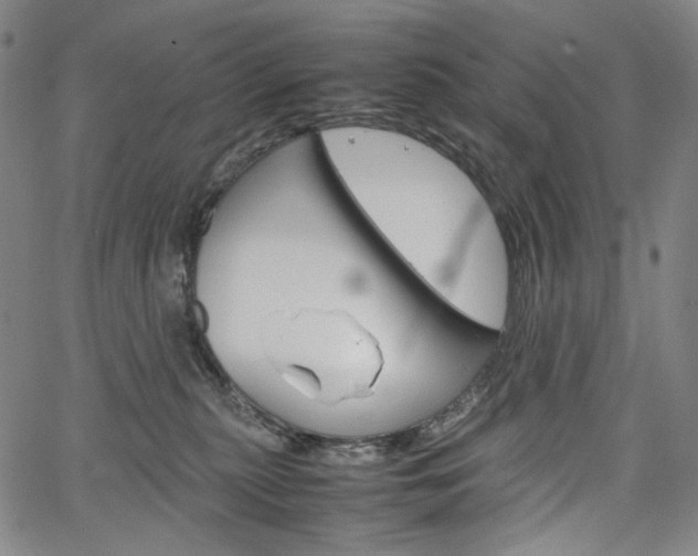 X0000067480279200604070935