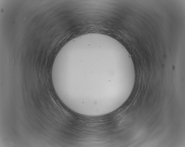 X0000067480280200604070935