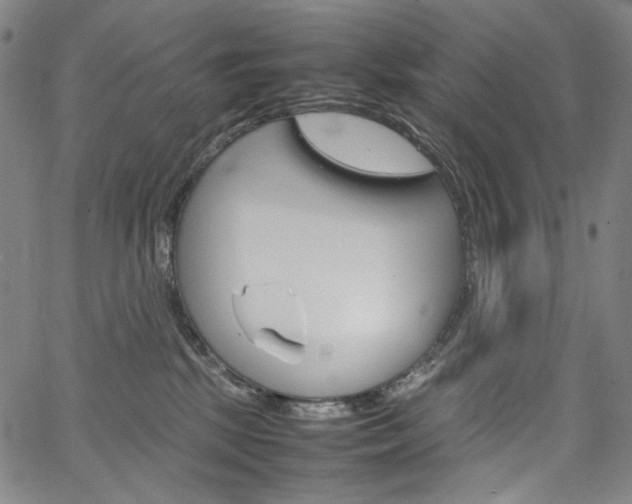 X0000067480281200604070935