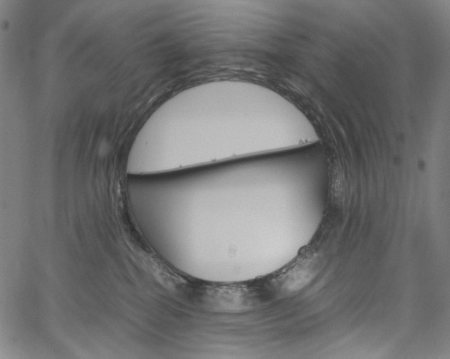 X0000067480282200604070935