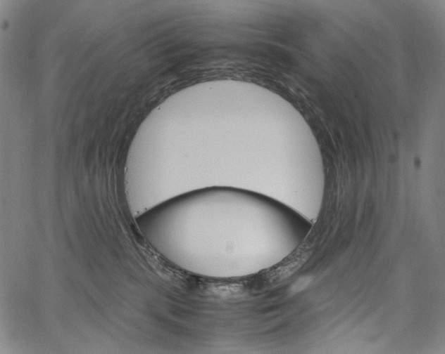 X0000067480283200604070935